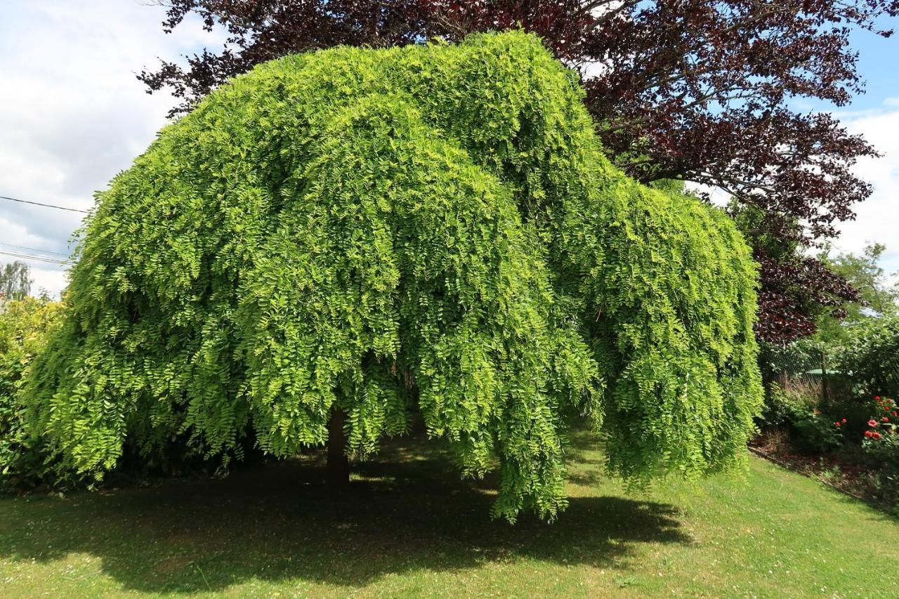 Le Sophora Cheu Exterior foto